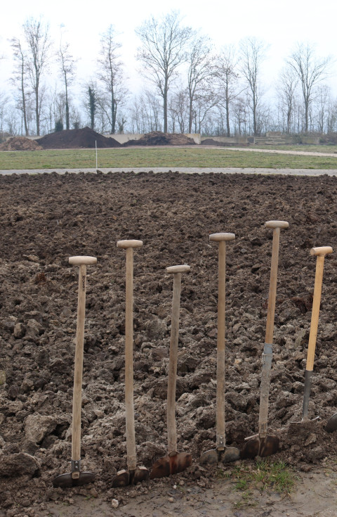 Aanplant tiny forest Lelystad